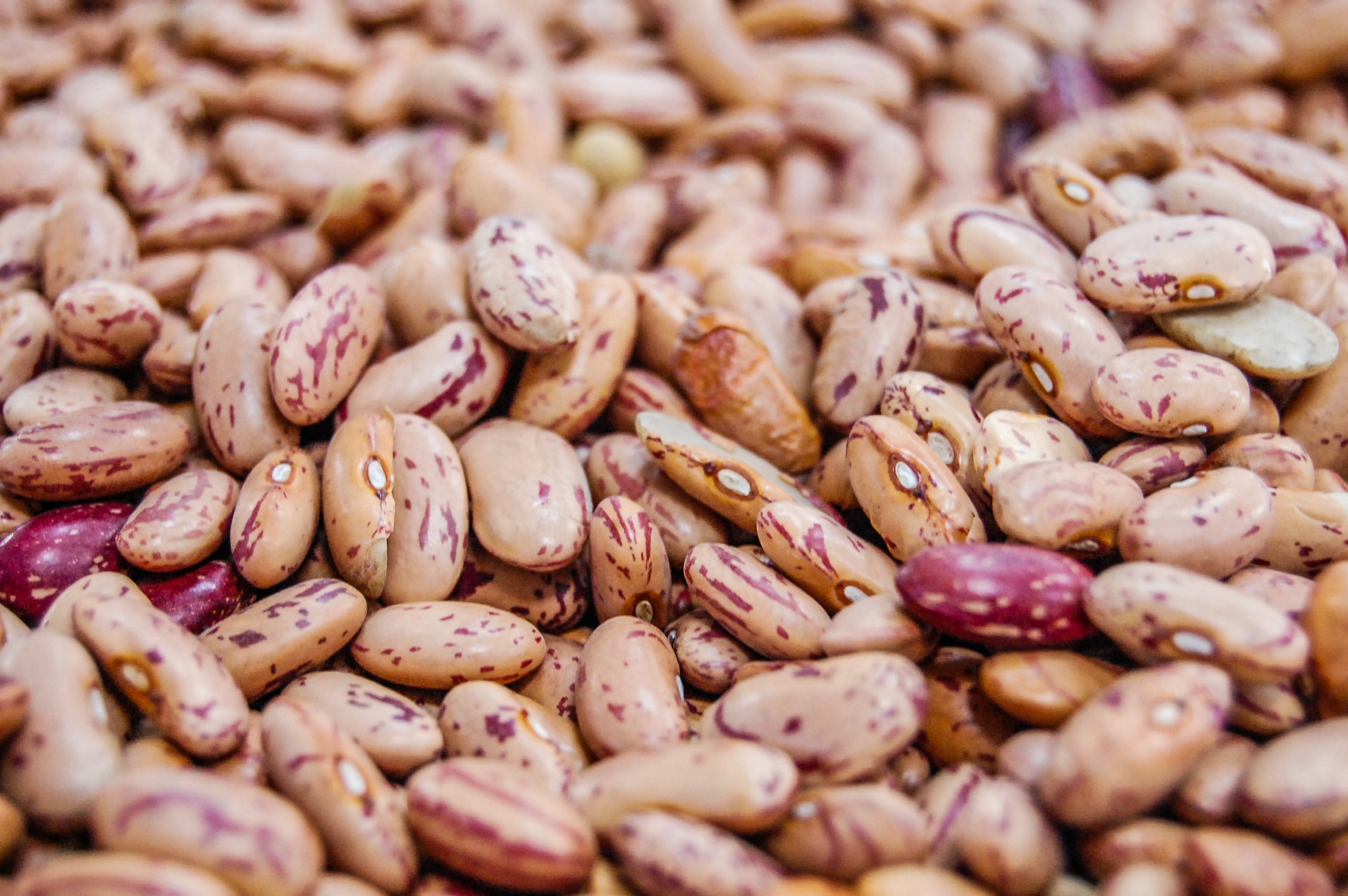 8+ Substitutes For Pinto Beans