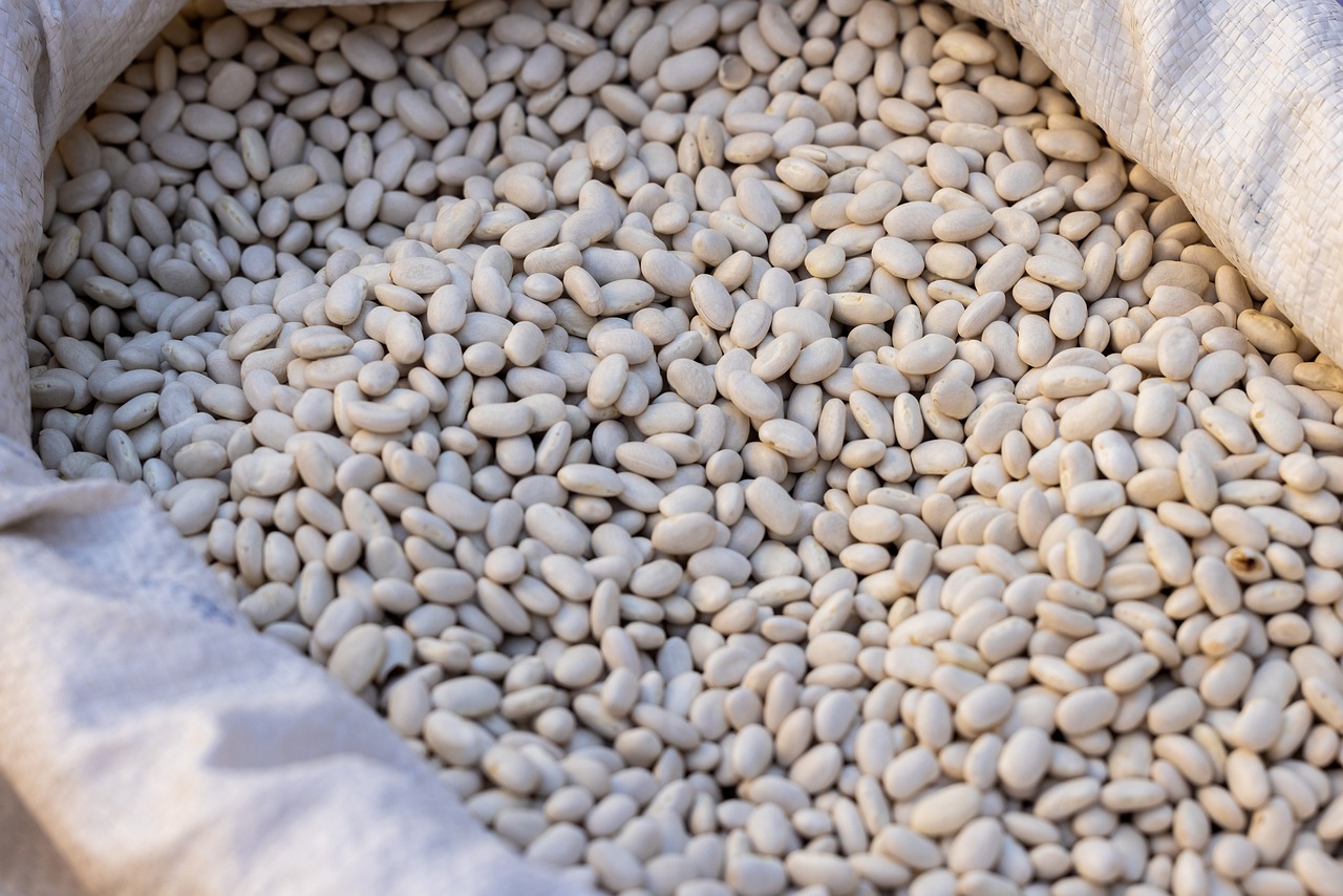 Differences Between Navy Beans and Great Northern Beans