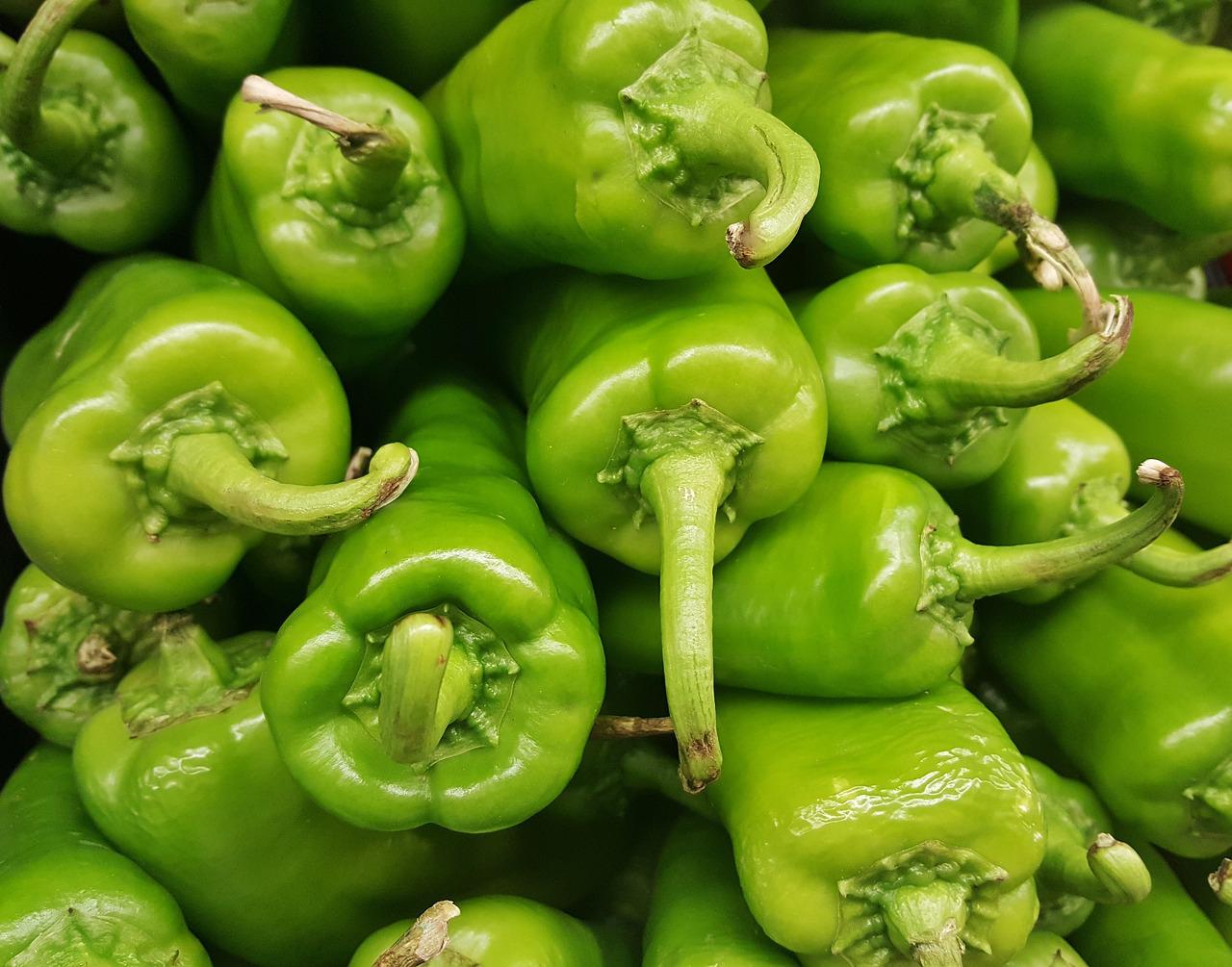 a large group of green anaheim peppers