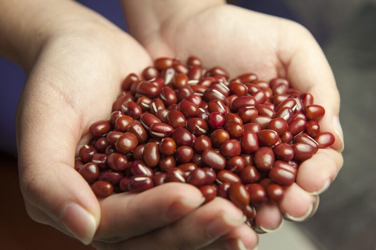 a woman holding handfuls of red beans