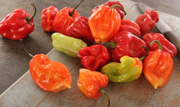 a group of scotch bonnet peppers with assorted colors
