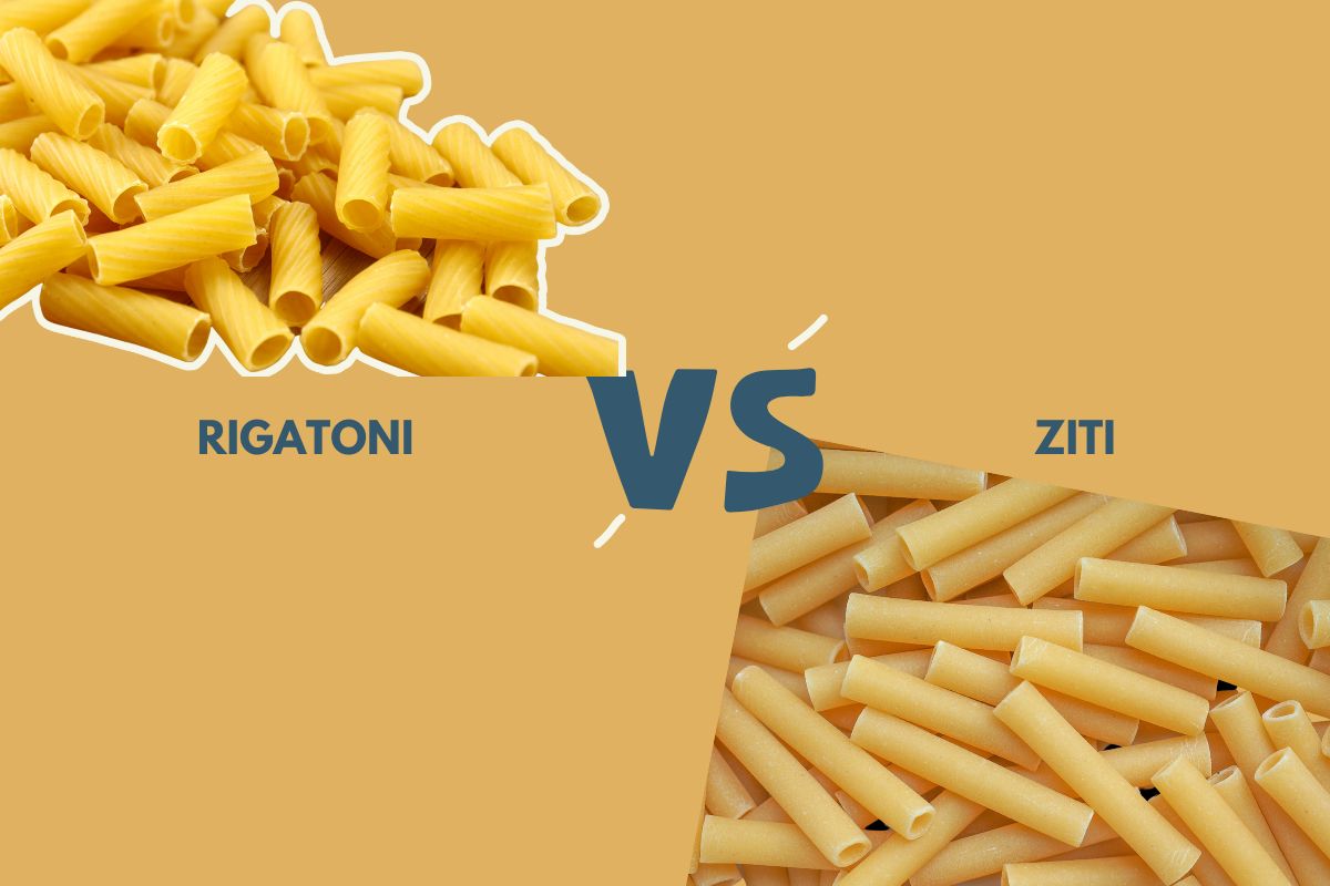 Ziti Vs Rigatoni What s The Difference DownInTheKitchen