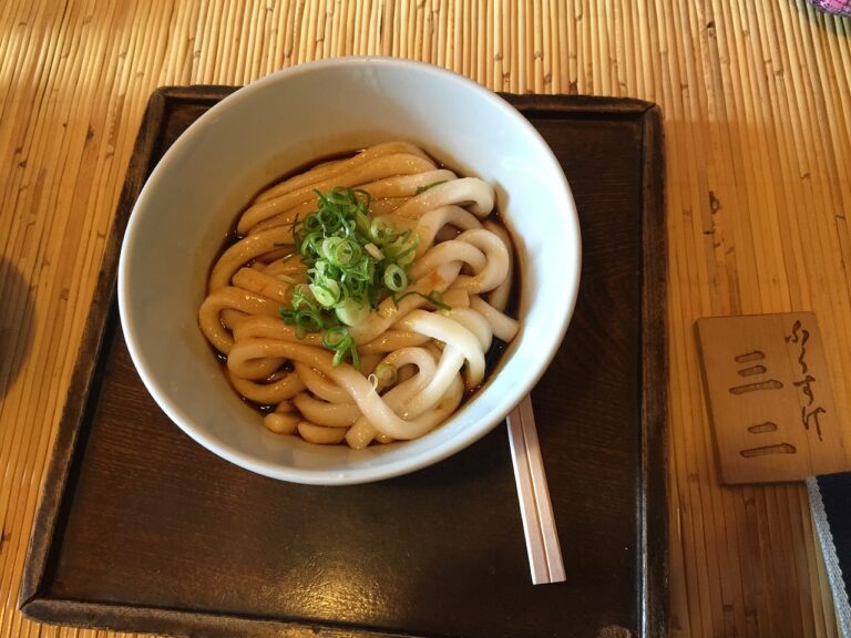 cooked udon noodles in bowl
