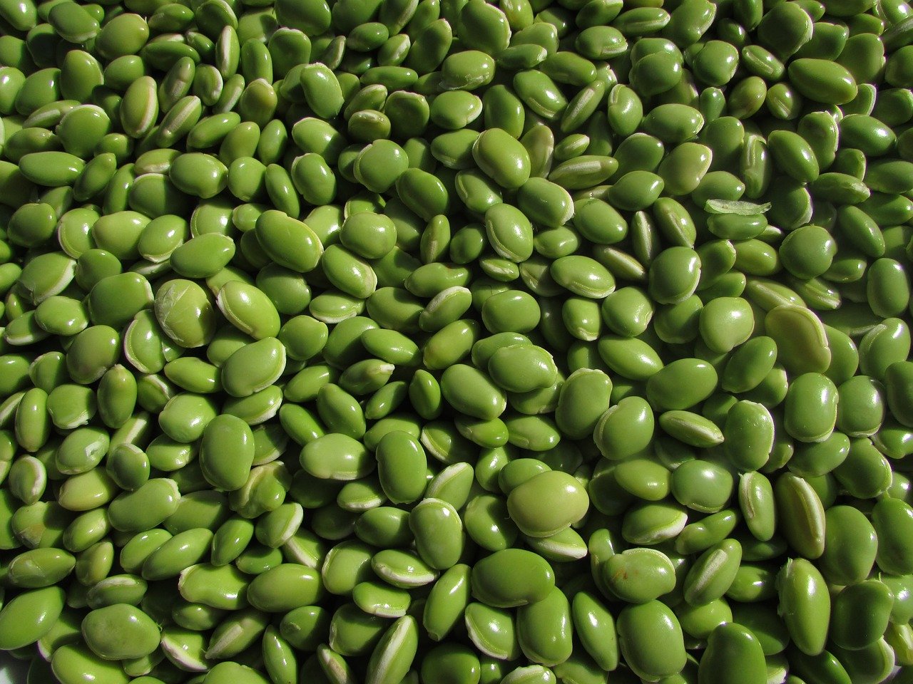 How To Cook Fresh Lima Beans 